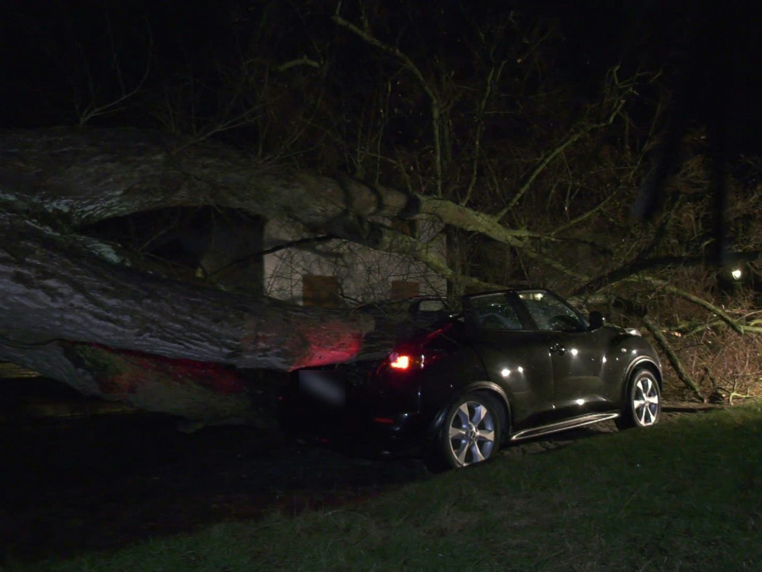 Ein massiver Baum ist in Berlin während des Sturmtiefs „Ylenia“ auf mehrere Autos gefallen.