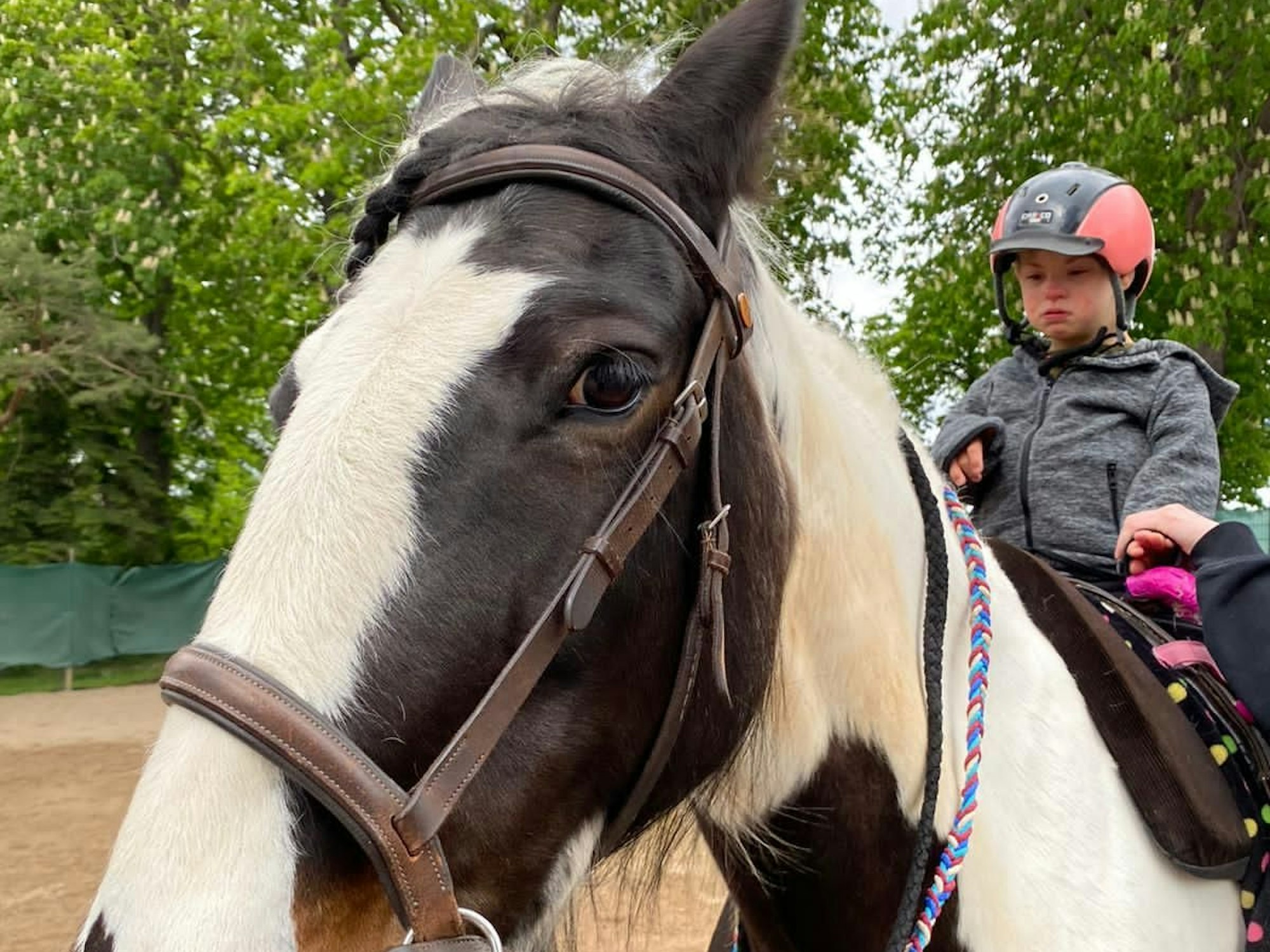 Der kleine Luca sitzt auf einem Pferd.