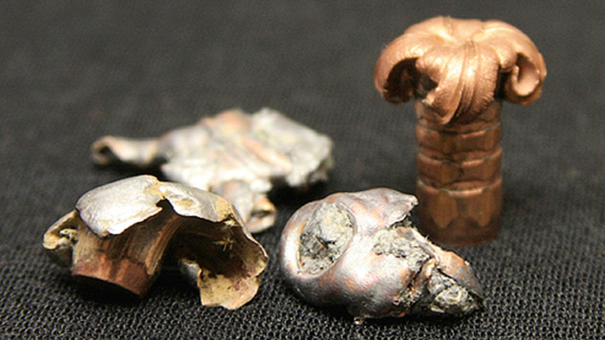 Kugeln mit Kernen aus Blei (links) und Kupfer: Eine Bleivergiftung wird nicht nur bei Weißkopfseeadlern registriert, sondern auch bei Geiern, Raben, Falken und anderen Vögel.