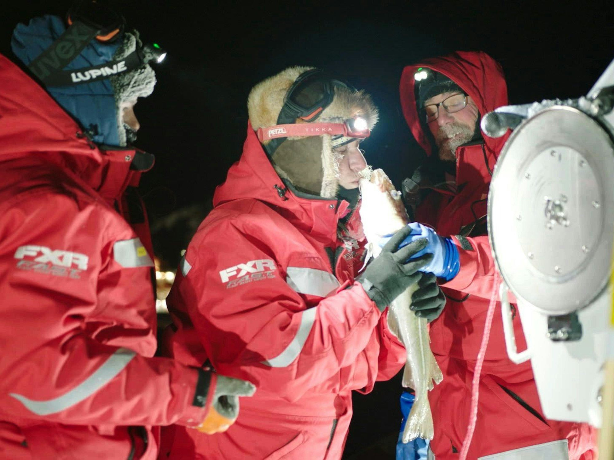 Das Forschungsteam findet Kabeljau im Arktischen Ozean. Kabeljau und Tintenfische können viel weiter nördlich leben als bisher angenommen: Wissenschaftler entdeckten während der „Mosaic“-Expedition mit dem Forschungsschiff „Polarstern“ einzelne große Exemplare dieser Meeresbewohner in der Zentralarktis.