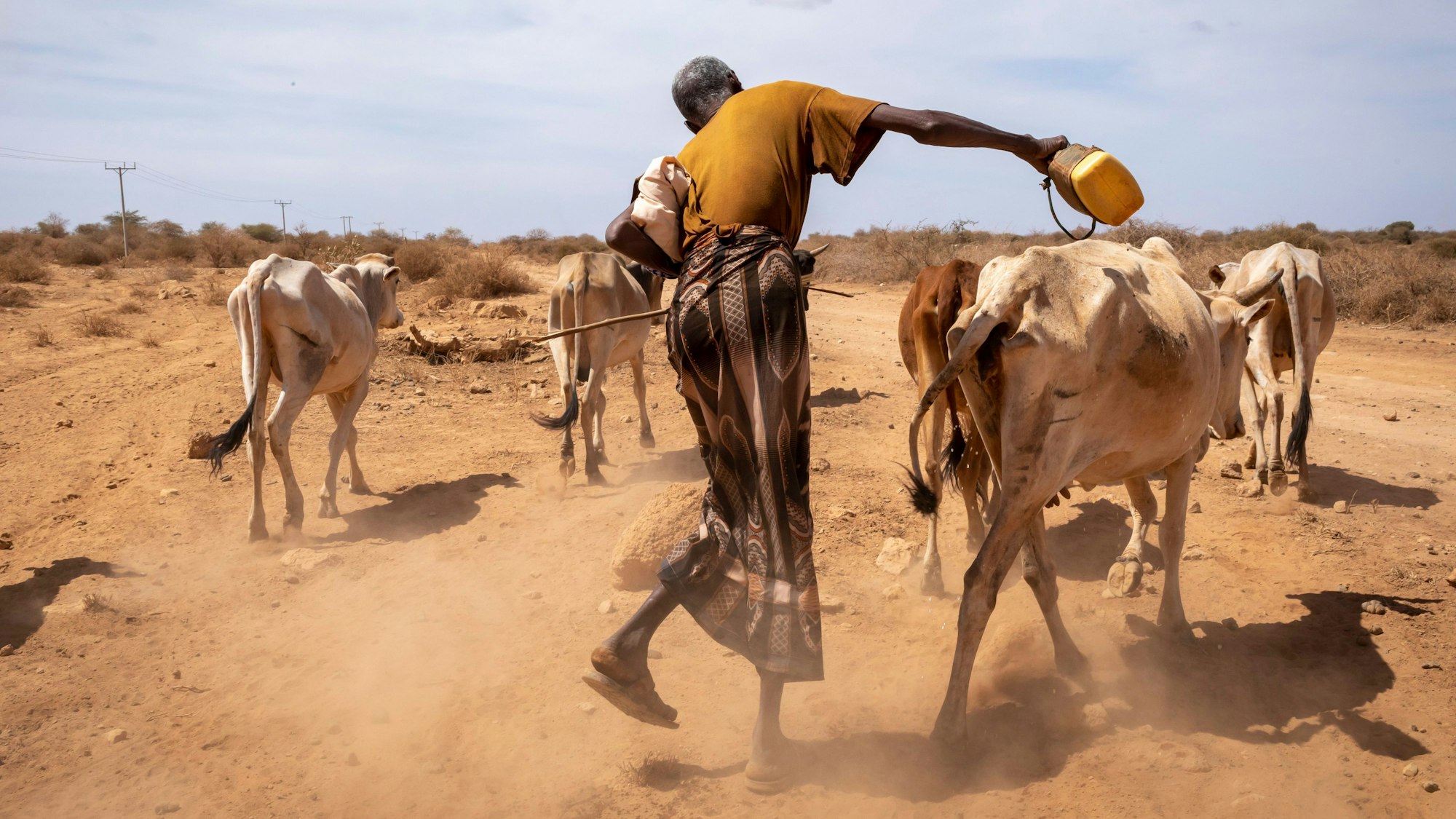 In Afrika sorgt die Dürre für Hunger und Not: Hussen Ahmed, Bauer aus Äthiopien, sagt, dass seine Kühe an der Dürre sterben. Immer mehr Afrikaner flüchten aus der Region. Die, die das nicht können, hungern.