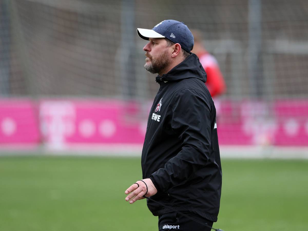 Steffen Baumgart im Training de 1. FC Köln