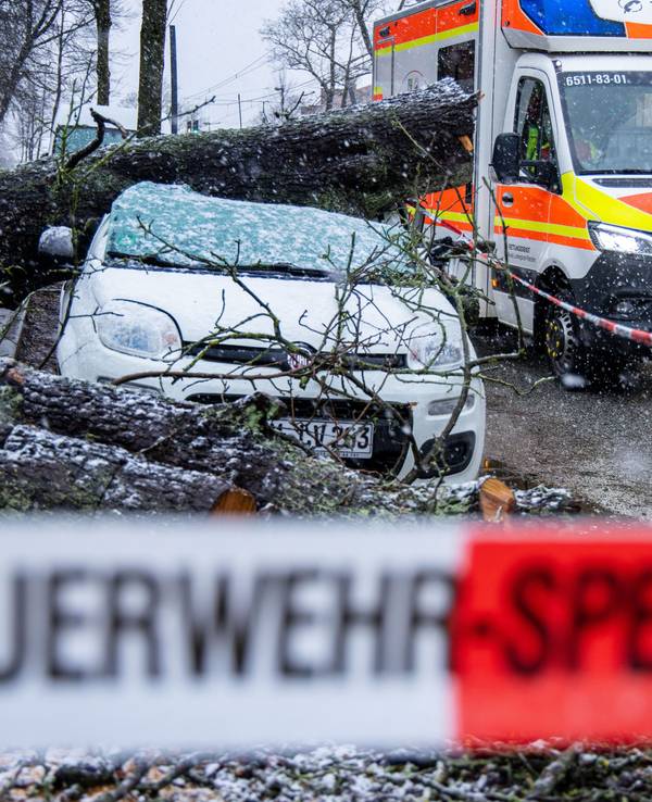 Ein entwurzelten Baum liegt am 21.02.2022 in der Innenstadt auf einem Kleinwagen. Die Versicherungsbranche rechnet infolge der jüngsten Winterstürme mit Schäden in Milliardenhöhe.