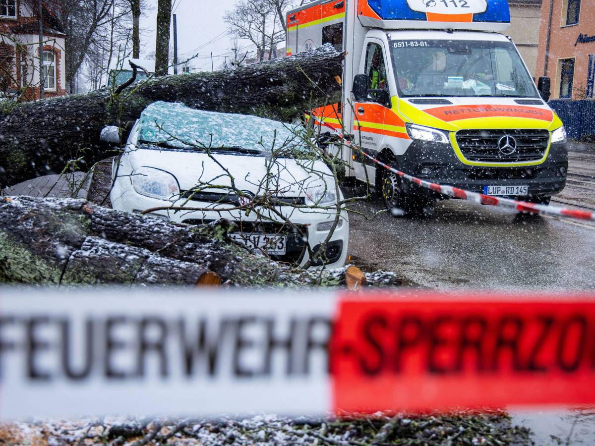 Ein entwurzelten Baum liegt am 21.02.2022 in der Innenstadt auf einem Kleinwagen. Die Versicherungsbranche rechnet infolge der jüngsten Winterstürme mit Schäden in Milliardenhöhe.