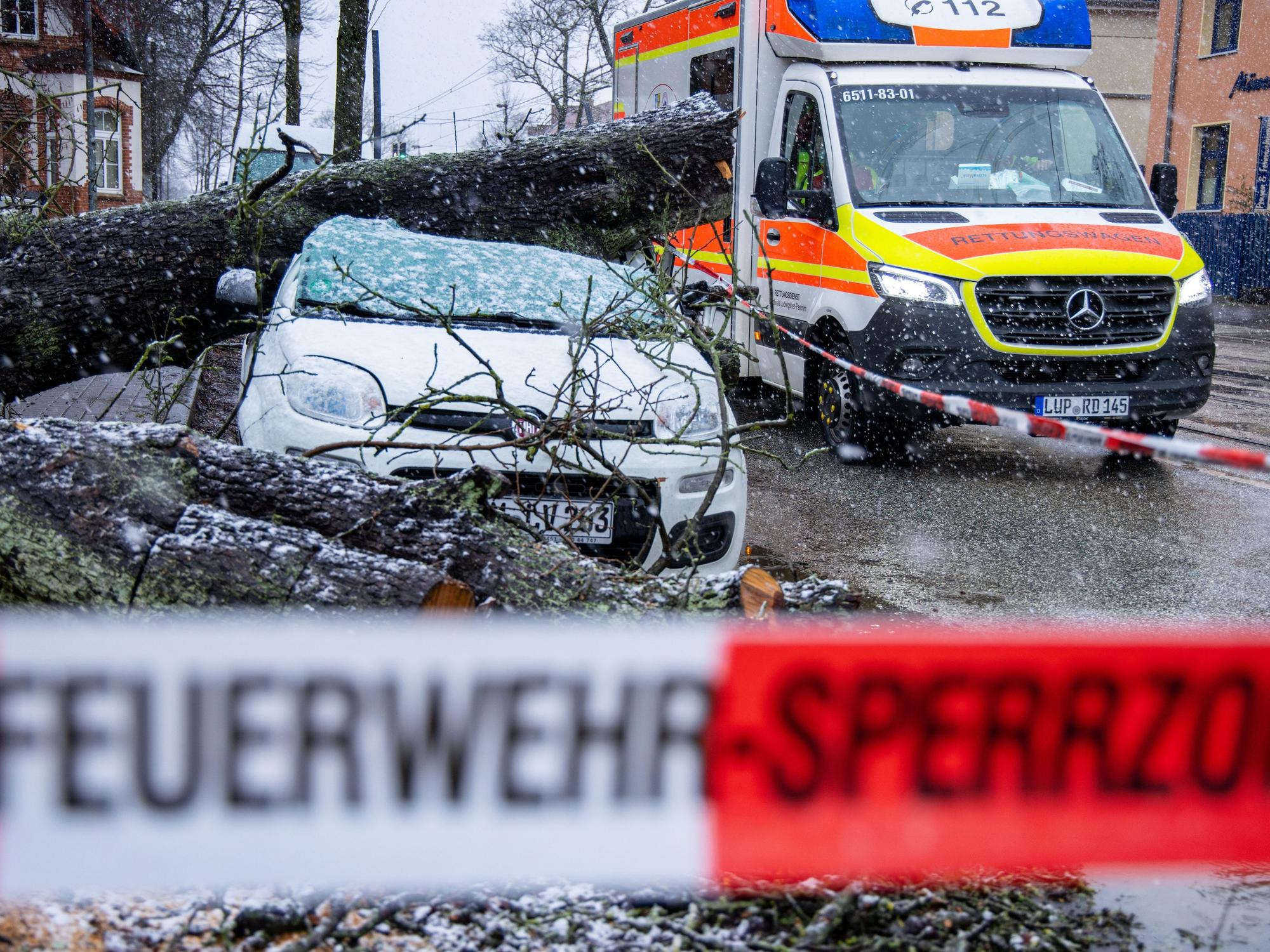 Ein entwurzelten Baum liegt am 21.02.2022 in der Innenstadt auf einem Kleinwagen. Die Versicherungsbranche rechnet infolge der jüngsten Winterstürme mit Schäden in Milliardenhöhe.