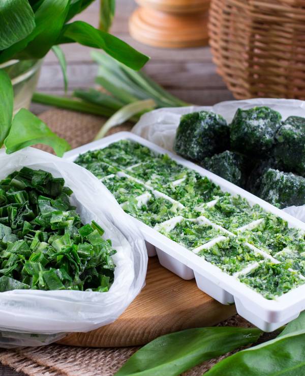 Bärlauch einzufrieren, ist eine der besten Methoden, um das Kraut haltbar zu machen.