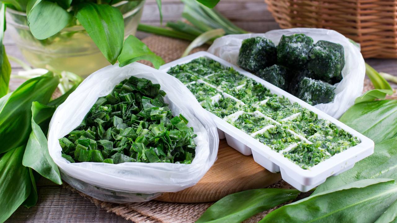 Bärlauch einzufrieren, ist eine der besten Methoden, um das Kraut haltbar zu machen.