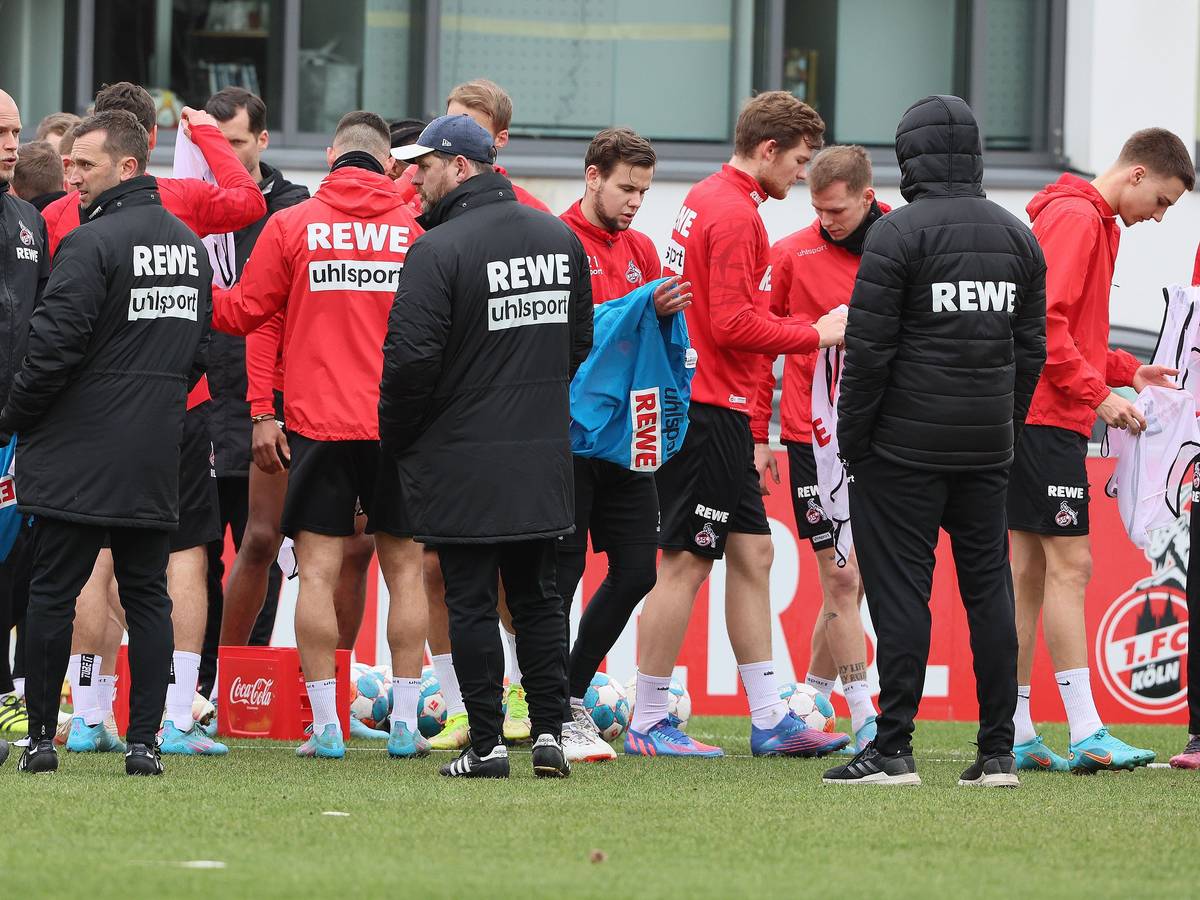 Steffen Baumgart trainiert den 1. FC Köln am Geißbockheim.