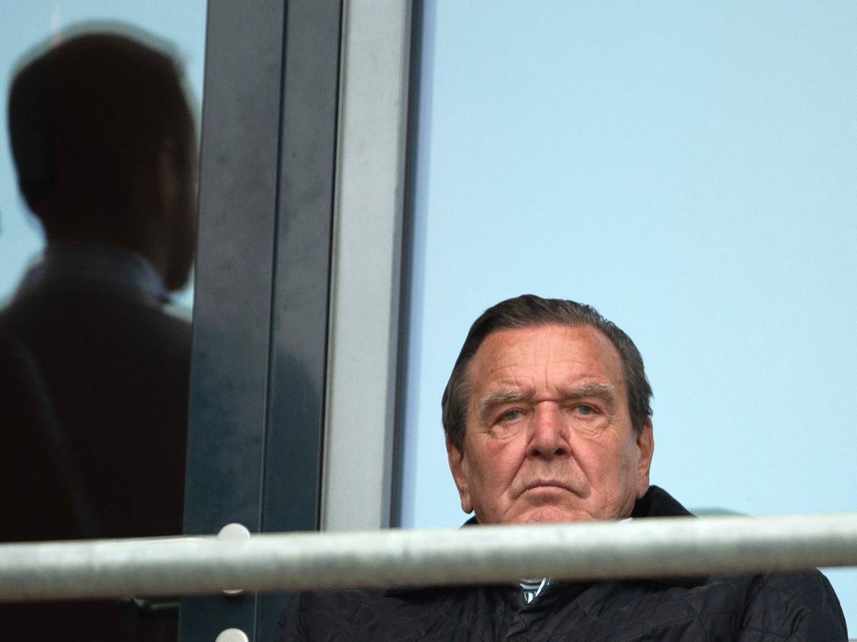Altbundeskanzler Gerhard Schröder, Aufsichtsratsvorsitzender von Hannover 96, sitzt im Stadion.