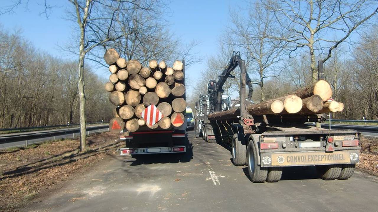 Ein Holztransporter ist völlig überladen, mit Hilfe eines Krans werden Stämme auf einen anderen Transporter umgeladen.