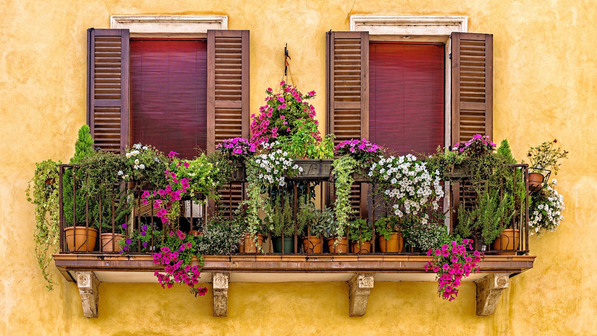 Hängepflanzen für den Balkon sorgen für eine entspannte Atmosphäre im Freien.