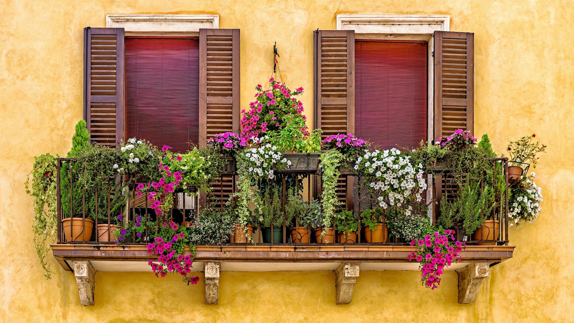 Hängepflanzen für den Balkon sorgen für eine entspannte Atmosphäre im Freien.