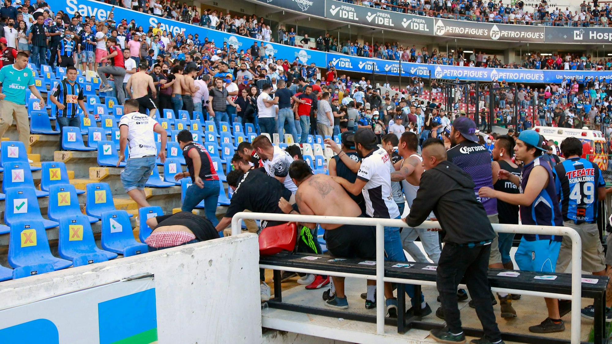 Jagdszenen auf den Tribünen beim Spiel zwischen Querétaro FC und Atlas Guadalajara in Mexiko