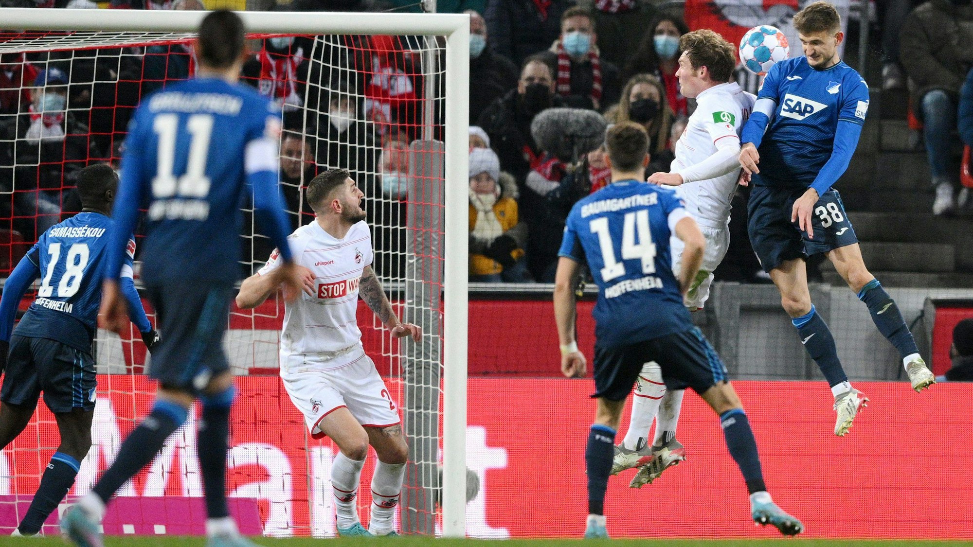 Stefan Posch köpft die TSG Hoffenheim zur Führung beim 1. FC Köln.