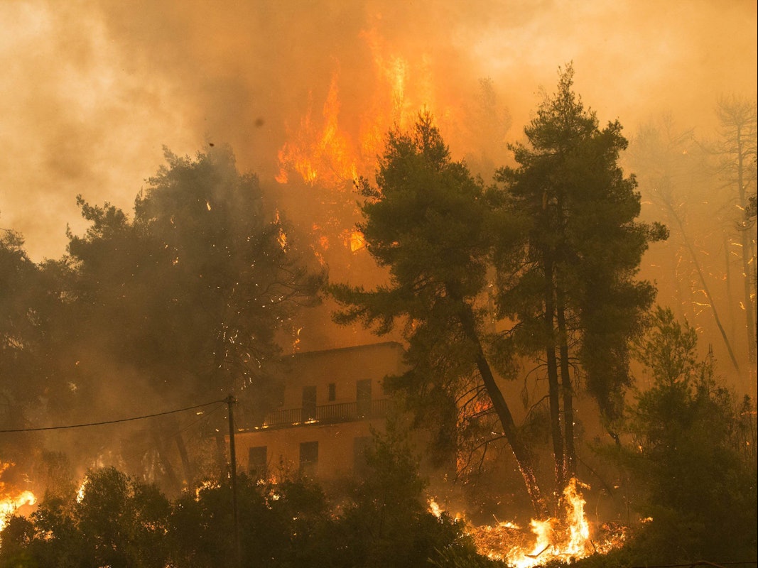 Dieses Foto zeigt einen Waldbrand am 8. August 2021 in Griechenland. Auch in NRW gab es in den vergangenen Jahren immer wieder verheerende Waldbrände.