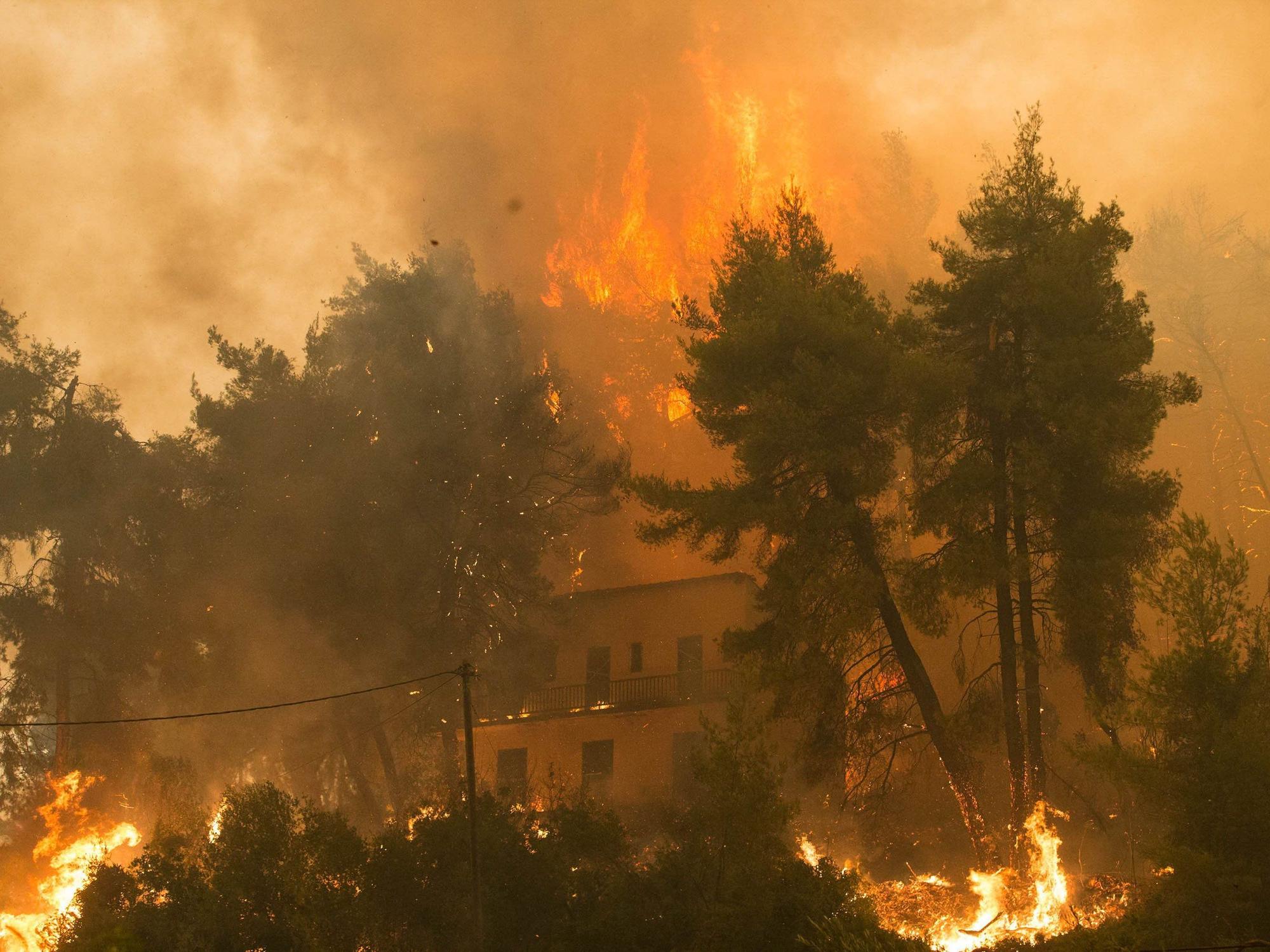 Dieses Foto zeigt einen Waldbrand am 8. August 2021 in Griechenland. Auch in NRW gab es in den vergangenen Jahren immer wieder verheerende Waldbrände.