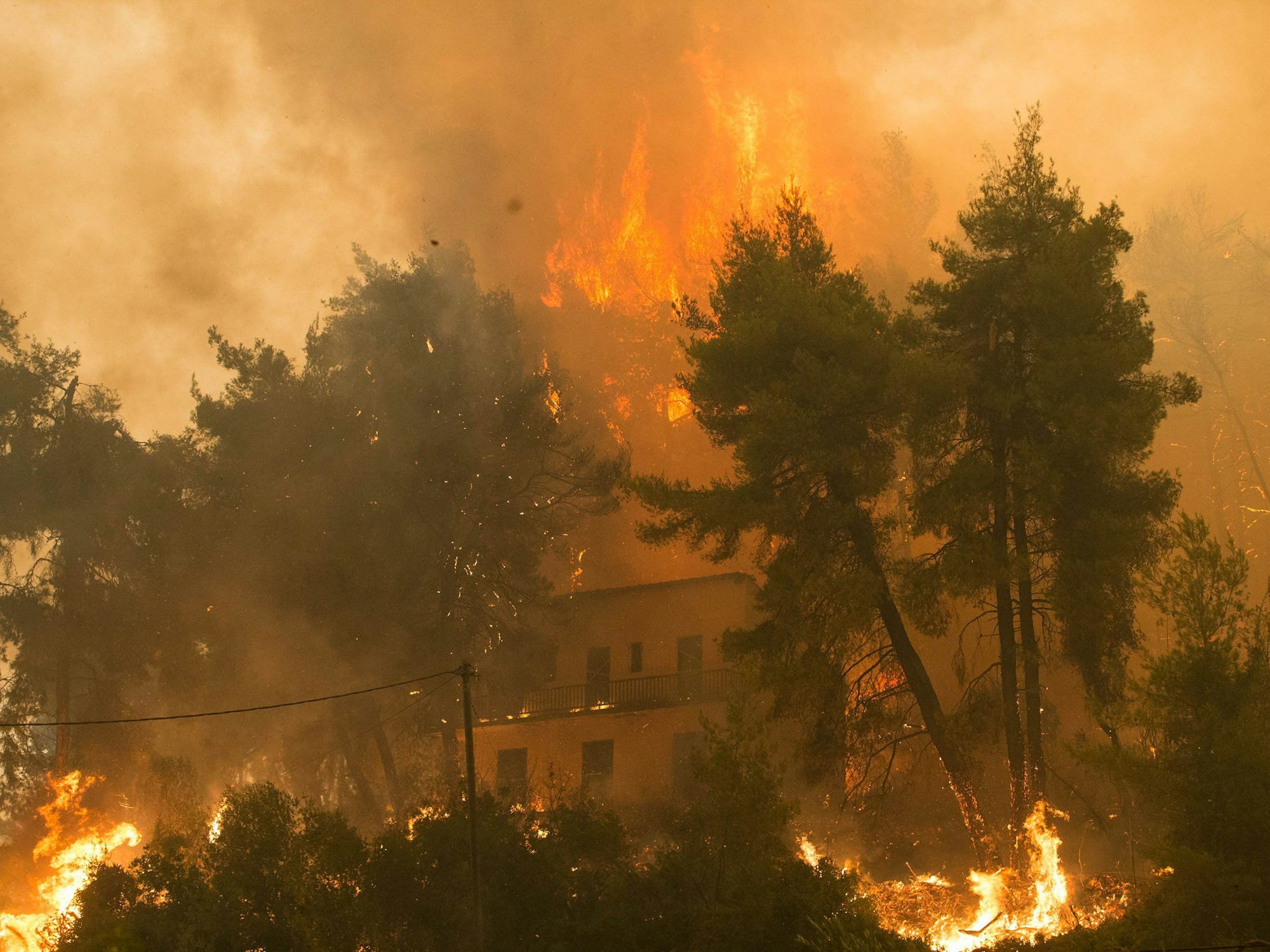 Dieses Foto zeigt einen Waldbrand am 8. August 2021 in Griechenland. Auch in NRW gab es in den vergangenen Jahren immer wieder verheerende Waldbrände.
