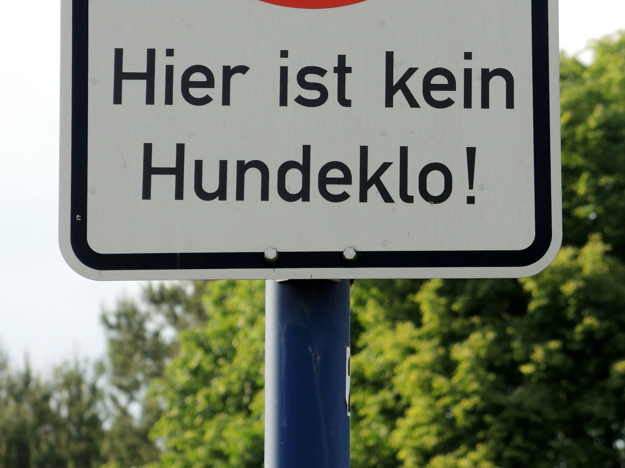 Ein Schild weist am daraufhin, die Grünfläche nicht als Hundeklo zu missbrauchen.