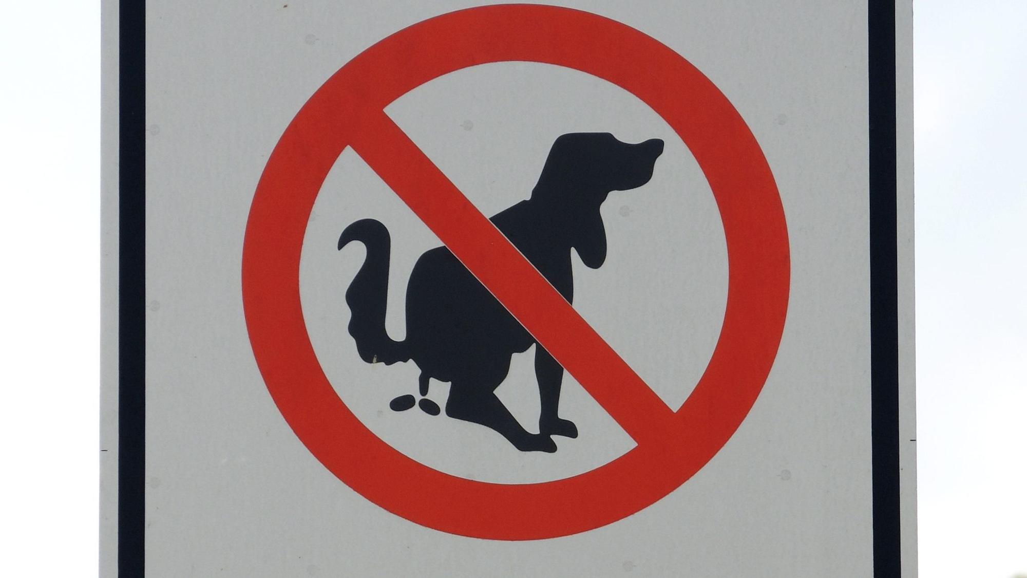 Ein Hinweisschild, dass Hundehalter auf das Kot-Verbot hinweist.