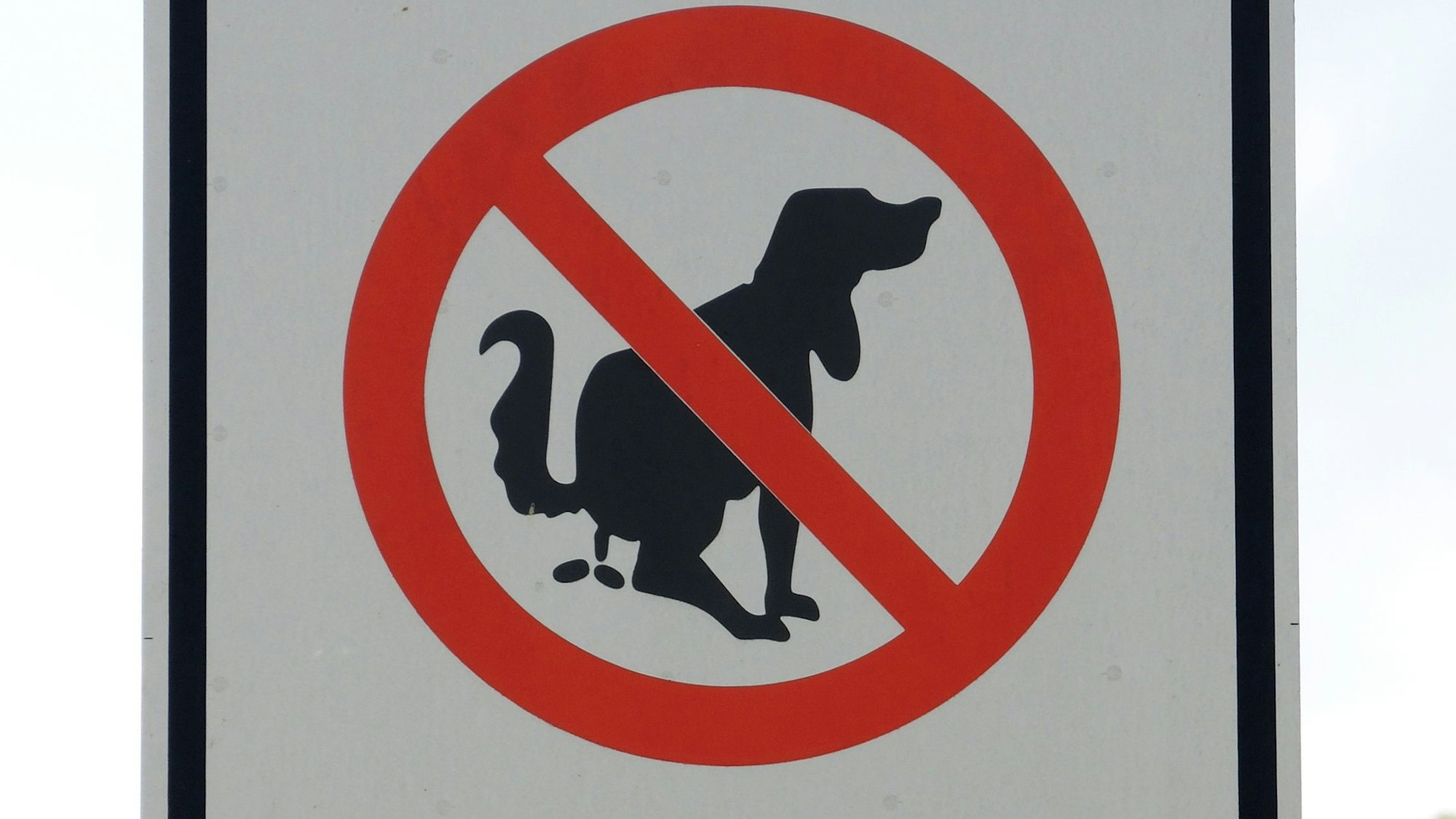 Ein Hinweisschild, dass Hundehalter auf das Kot-Verbot hinweist.