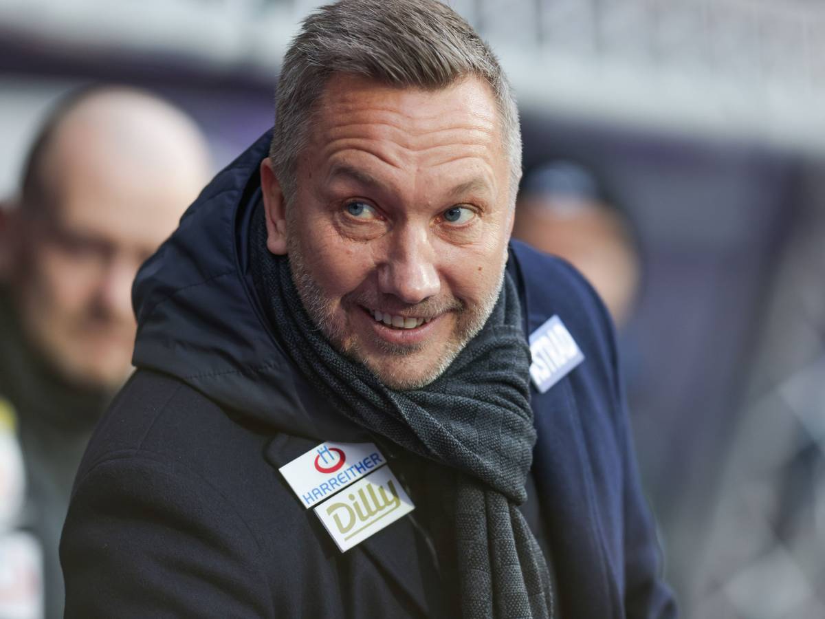 Austria-Trainer Manfred Schmid beim Spiel gegen Hartberg.