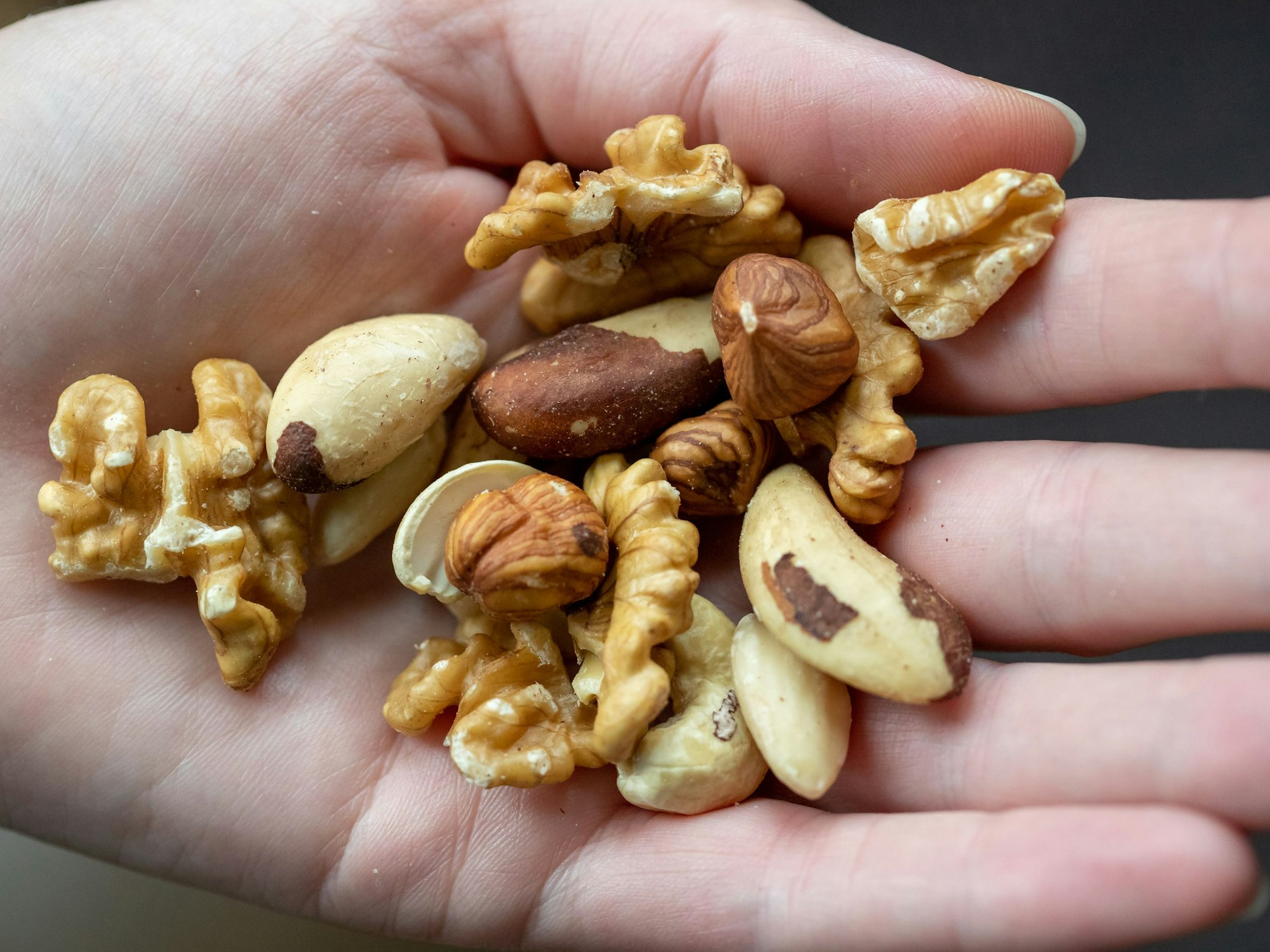 Kerne von Haselnuss, Paranuss, Walnuss, Mandel und Cashew liegen in einer Hand.