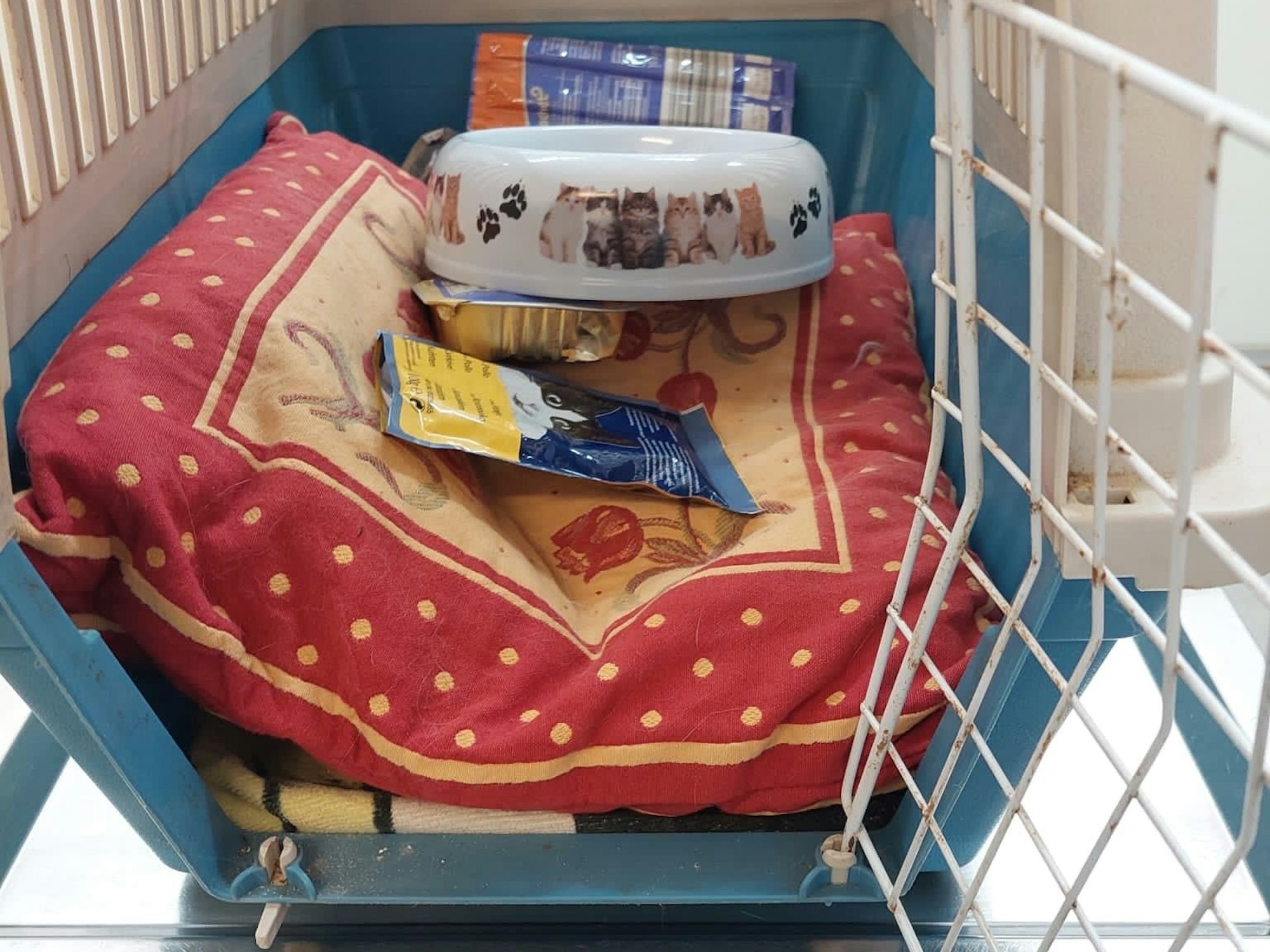 In einer Tiertransportbox liegen ein Kissen, ein Fressnapf sowie Katzenfutter.