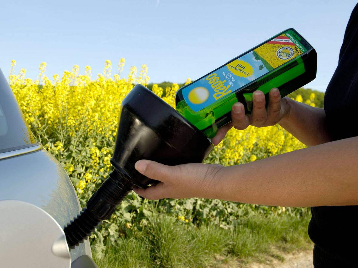 Rapsöl als Diesel-Ersatz? ADAC warnt jetzt vor schlimmen Folgen (Symbolbild).