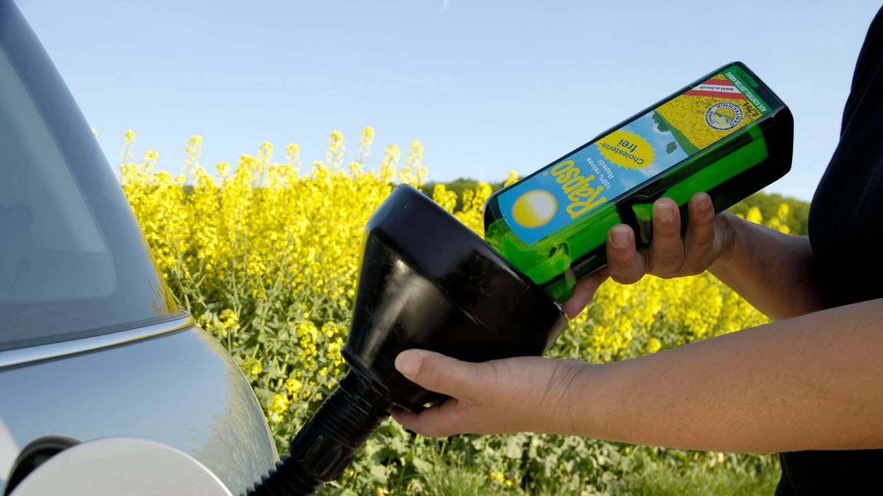 Rapsöl als Diesel-Ersatz? ADAC warnt jetzt vor schlimmen Folgen (Symbolbild).