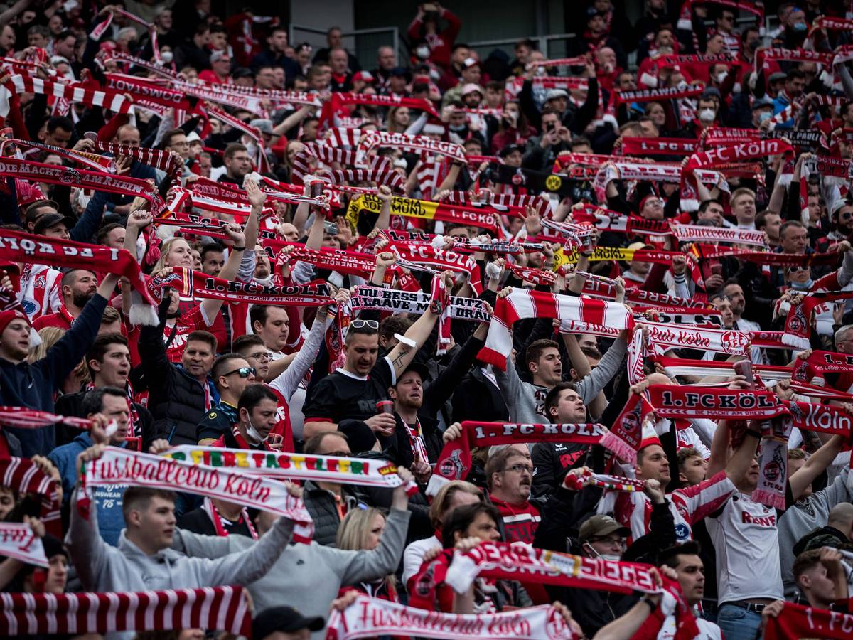 Fans des 1. FC Köln feuern ihr Team im Bundesliga-Spiel bei Bayer Leverkusen an
