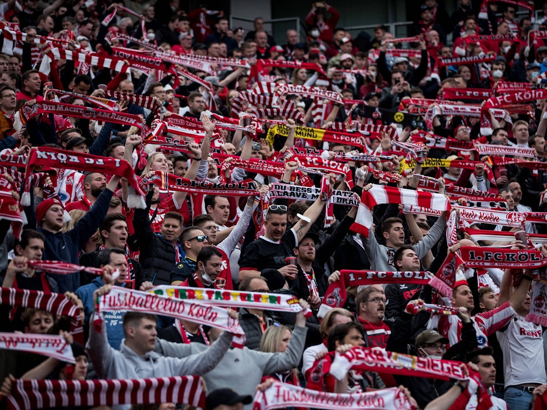Fans des 1. FC Köln feuern ihr Team im Bundesliga-Spiel bei Bayer Leverkusen an