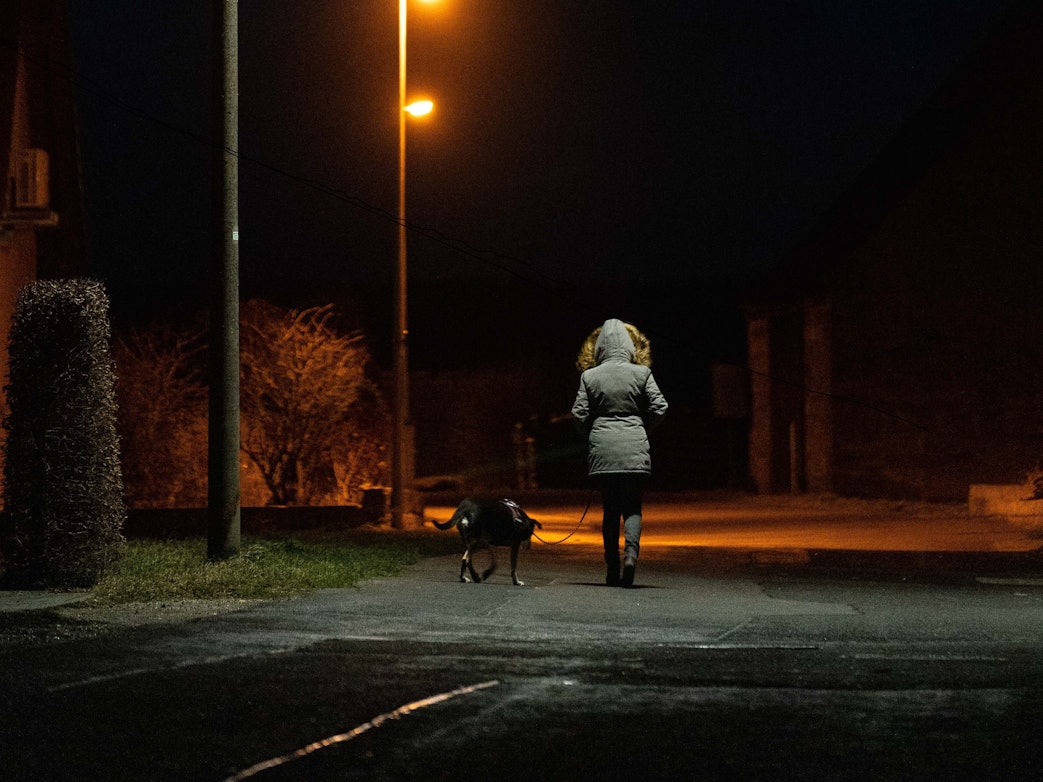 Bei einer Gassi-Runde (hier ein Symbolfoto) kam es zu einer unfassbaren Situation.