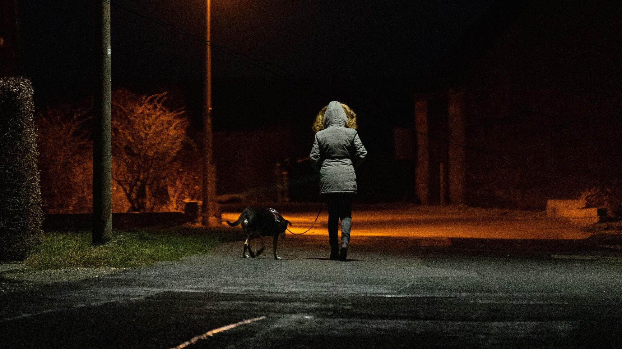 Bei einer Gassi-Runde (hier ein Symbolfoto) kam es zu einer unfassbaren Situation.