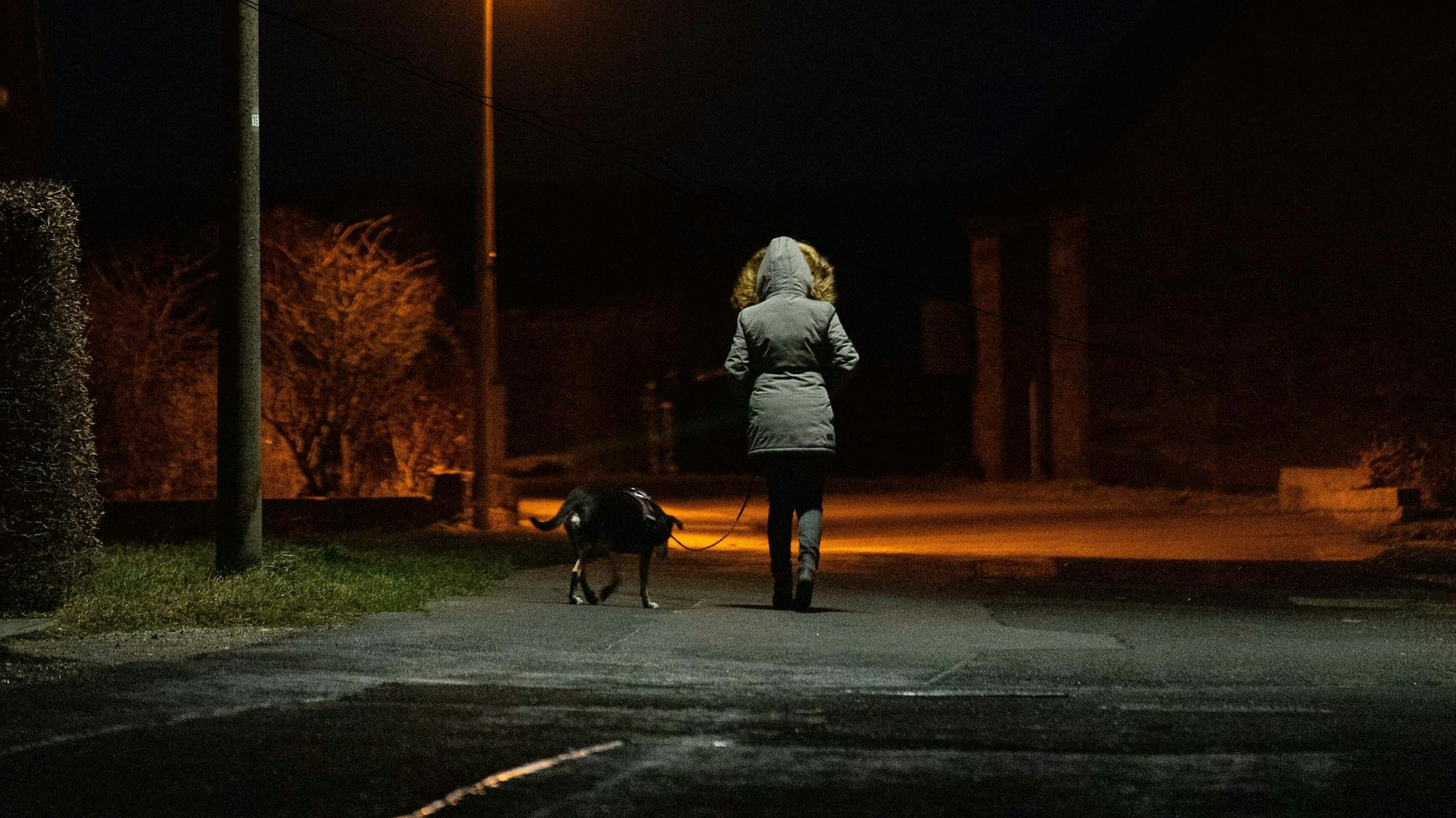 Bei einer Gassi-Runde (hier ein Symbolfoto) kam es zu einer unfassbaren Situation.