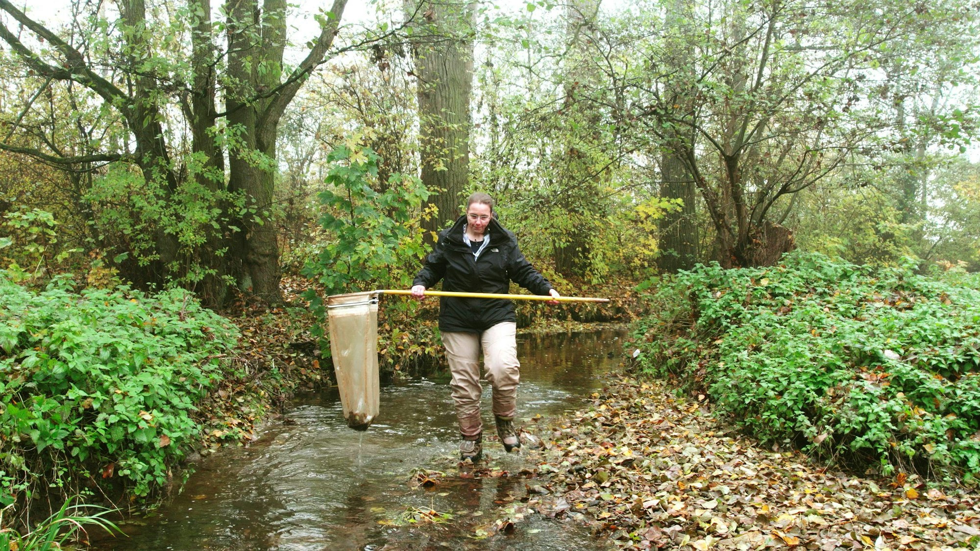Andrea Sundermann untersucht seit Jahren den Urselbach nahe Frankfurt für die Senckenberg Gesellschaft für Naturforschung.