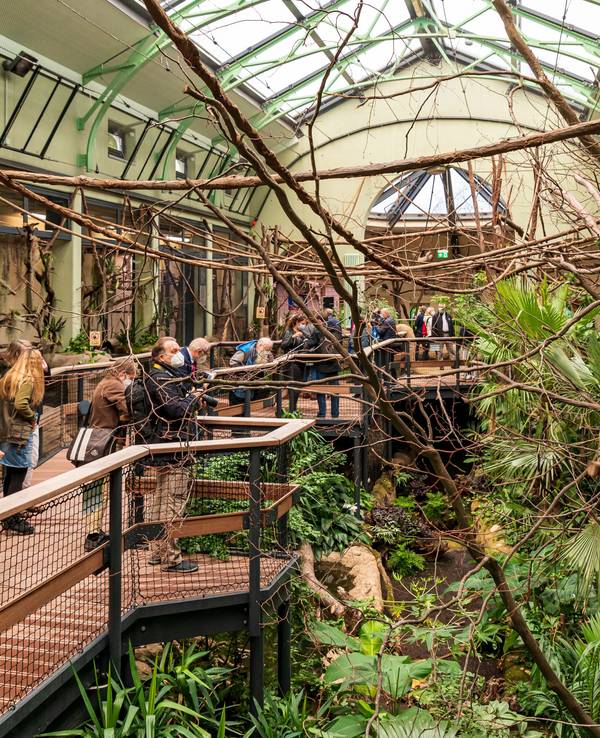 Menschen im Dschungelerlebnis-Haus im Kölner Zoo zwischen Tieren und Pflanzen.
