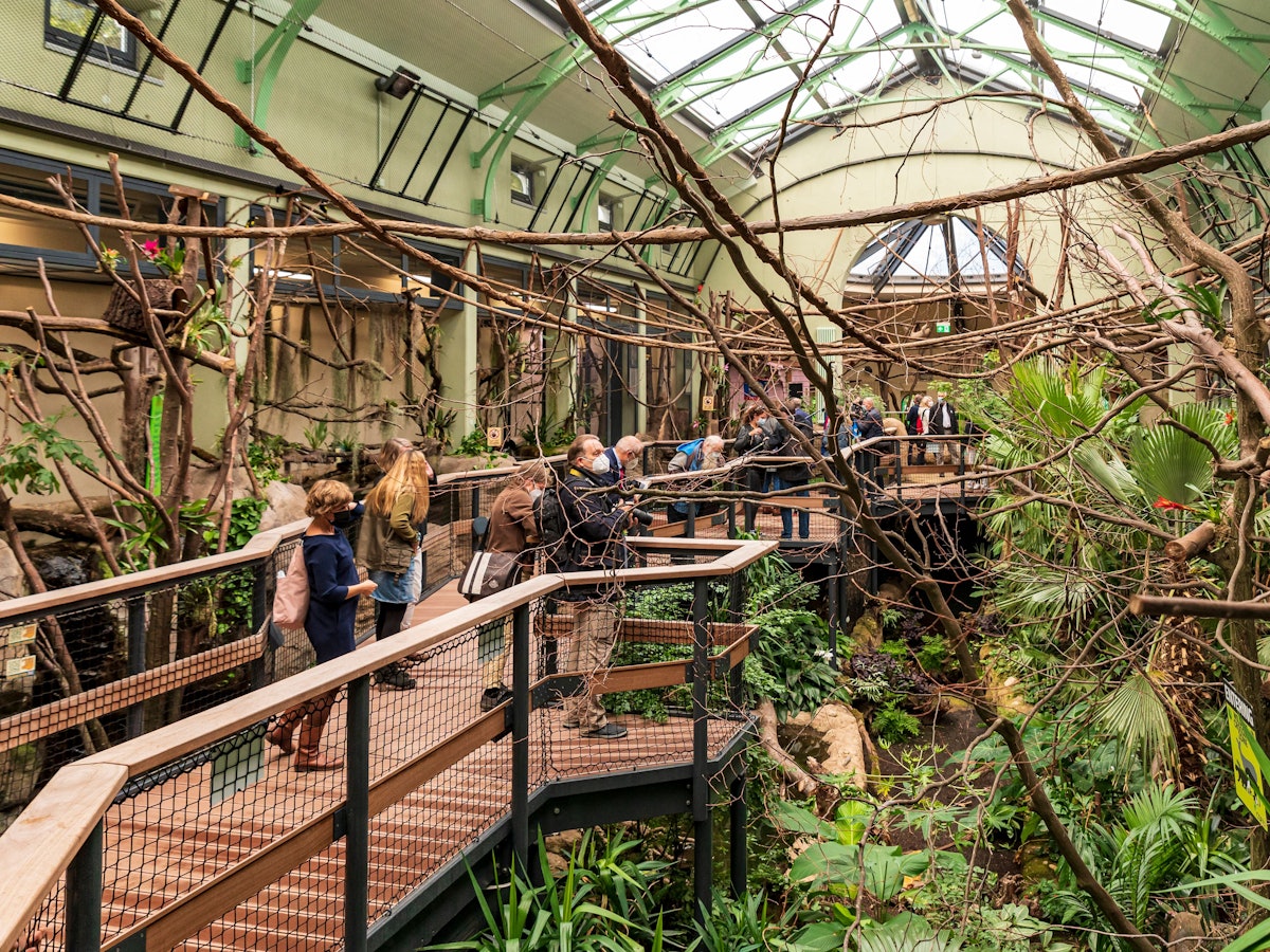 Menschen im Dschungelerlebnis-Haus im Kölner Zoo zwischen Tieren und Pflanzen.