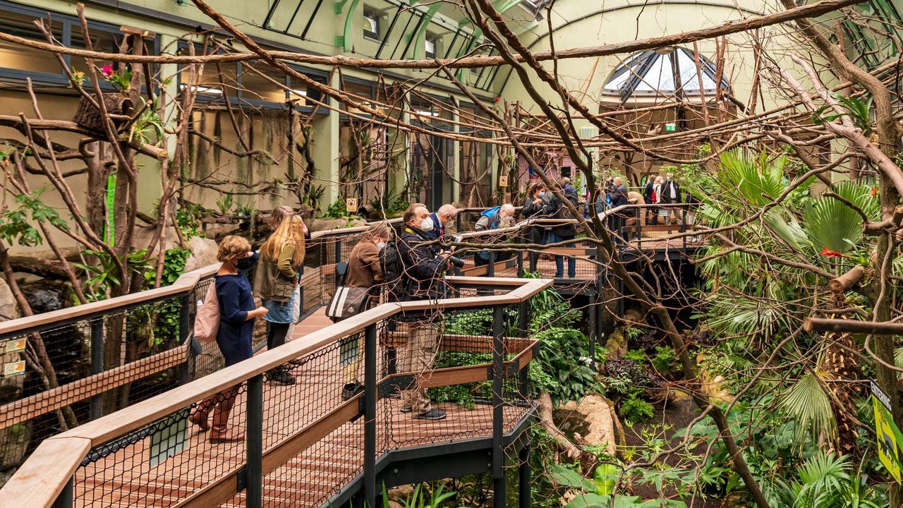 Menschen im Dschungelerlebnis-Haus im Kölner Zoo zwischen Tieren und Pflanzen.
