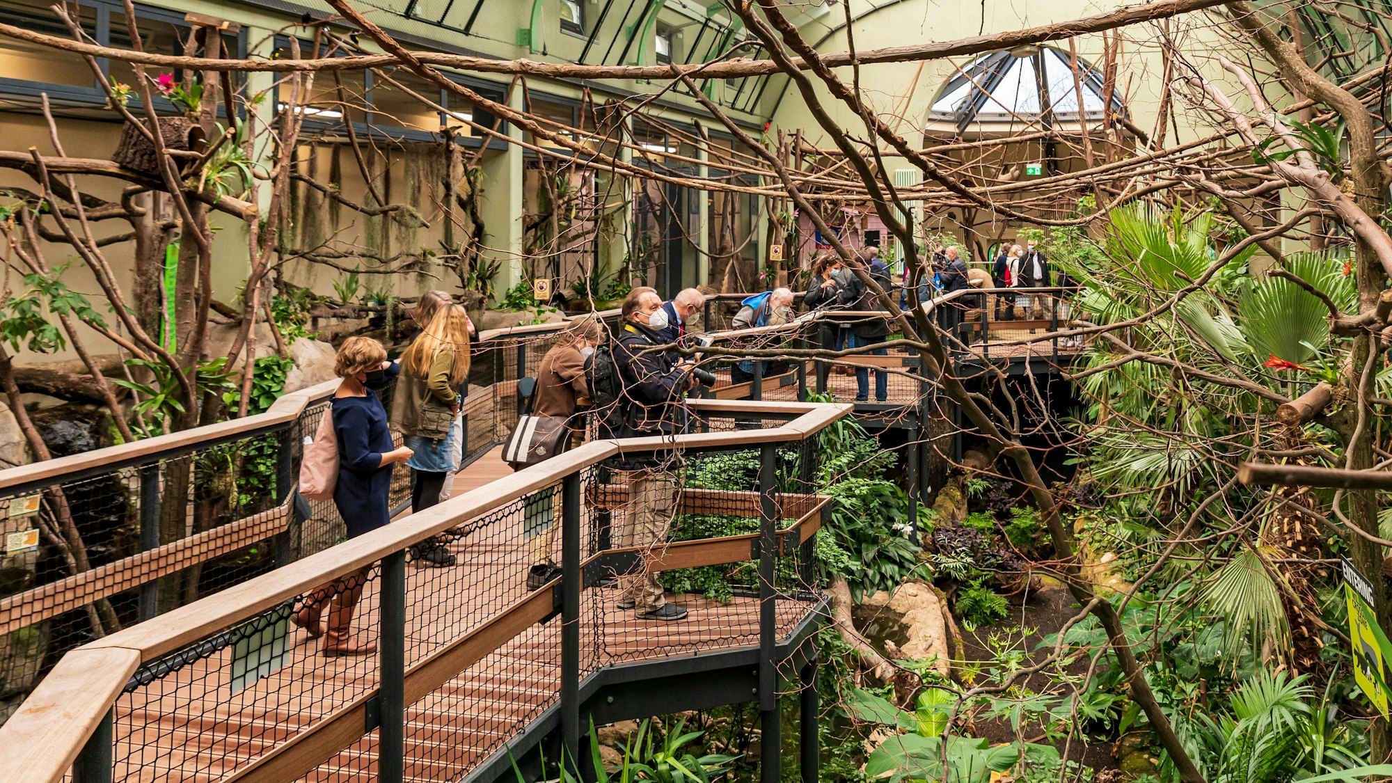 Menschen im Dschungelerlebnis-Haus im Kölner Zoo zwischen Tieren und Pflanzen.