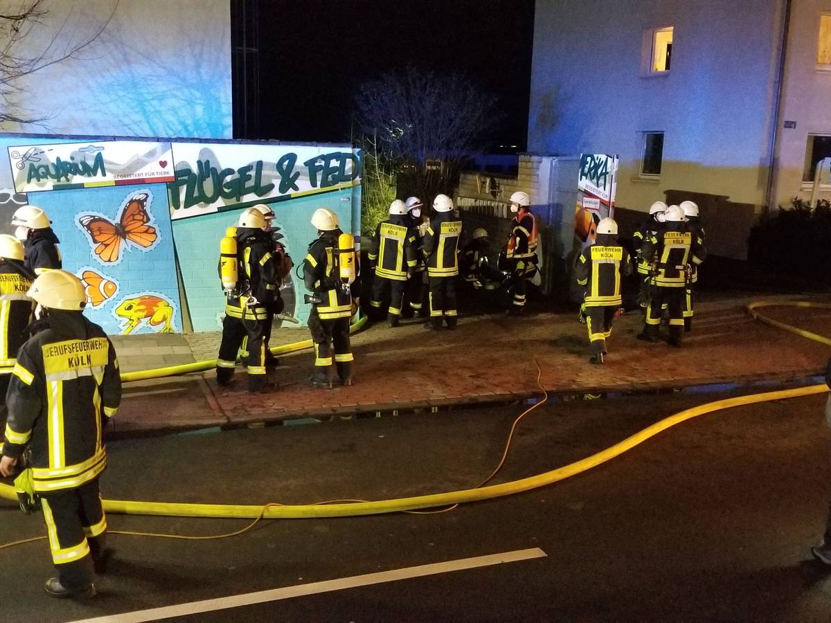 Feuerwehrleute im Einsatz am Tropenhaus des Kölner Zoos: Dort ist am Dienstagabend (15. März 2022) ein folgenschweres Feuer ausgebrochen.