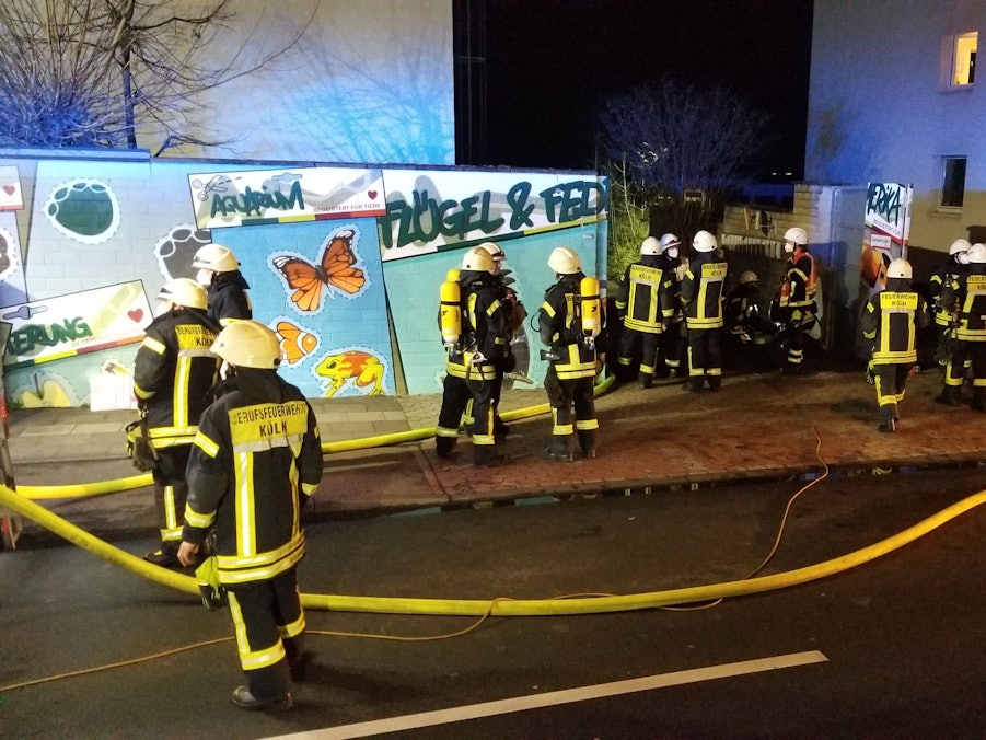 Feuerwehrleute im Einsatz am Tropenhaus des Kölner Zoos: Dort ist am Dienstagabend (15. März 2022) ein folgenschweres Feuer ausgebrochen.
