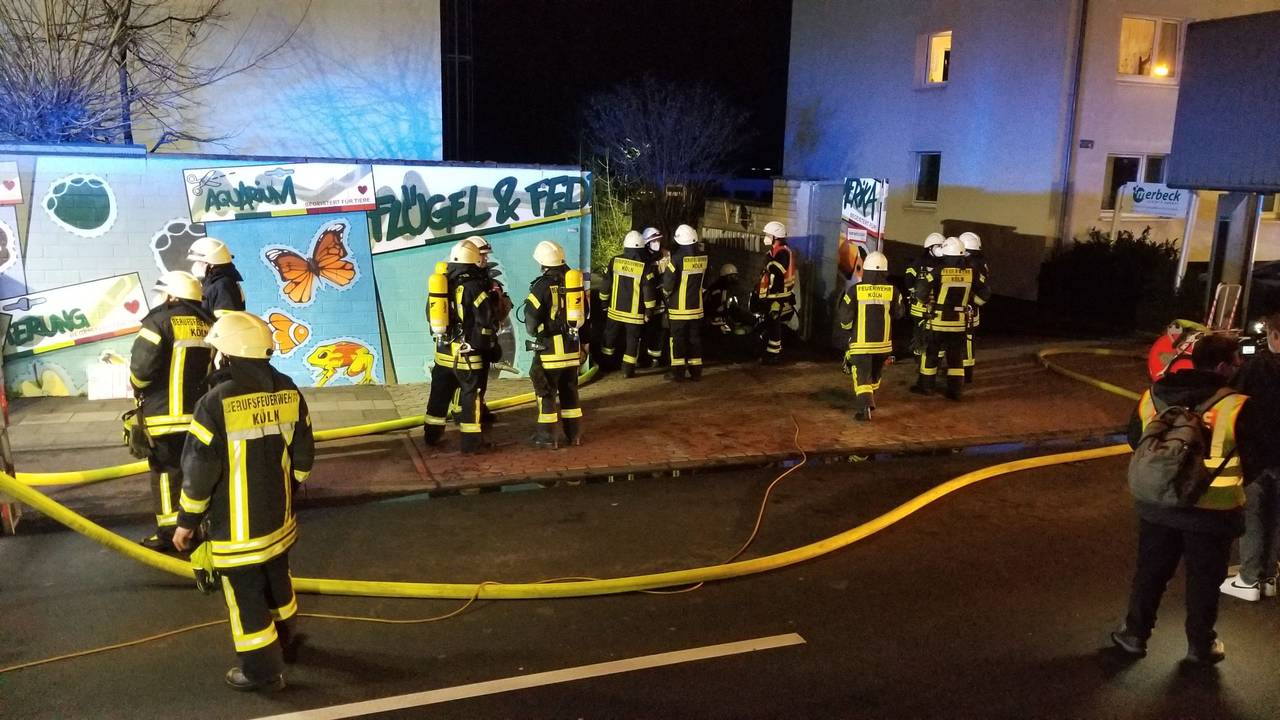 Feuerwehrleute im Einsatz am Tropenhaus des Kölner Zoos: Dort ist am Dienstagabend (15. März 2022) ein folgenschweres Feuer ausgebrochen.