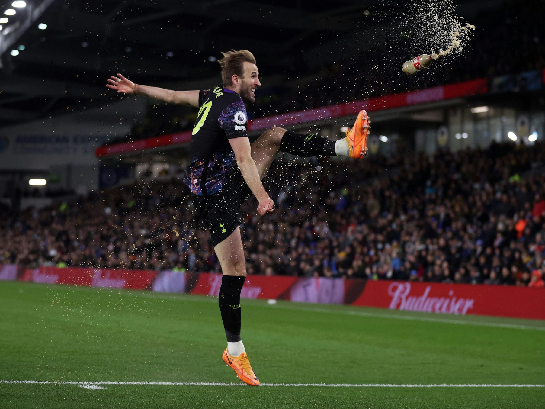 Harry Kane im Spiel bei Brighton & Hove Albion.