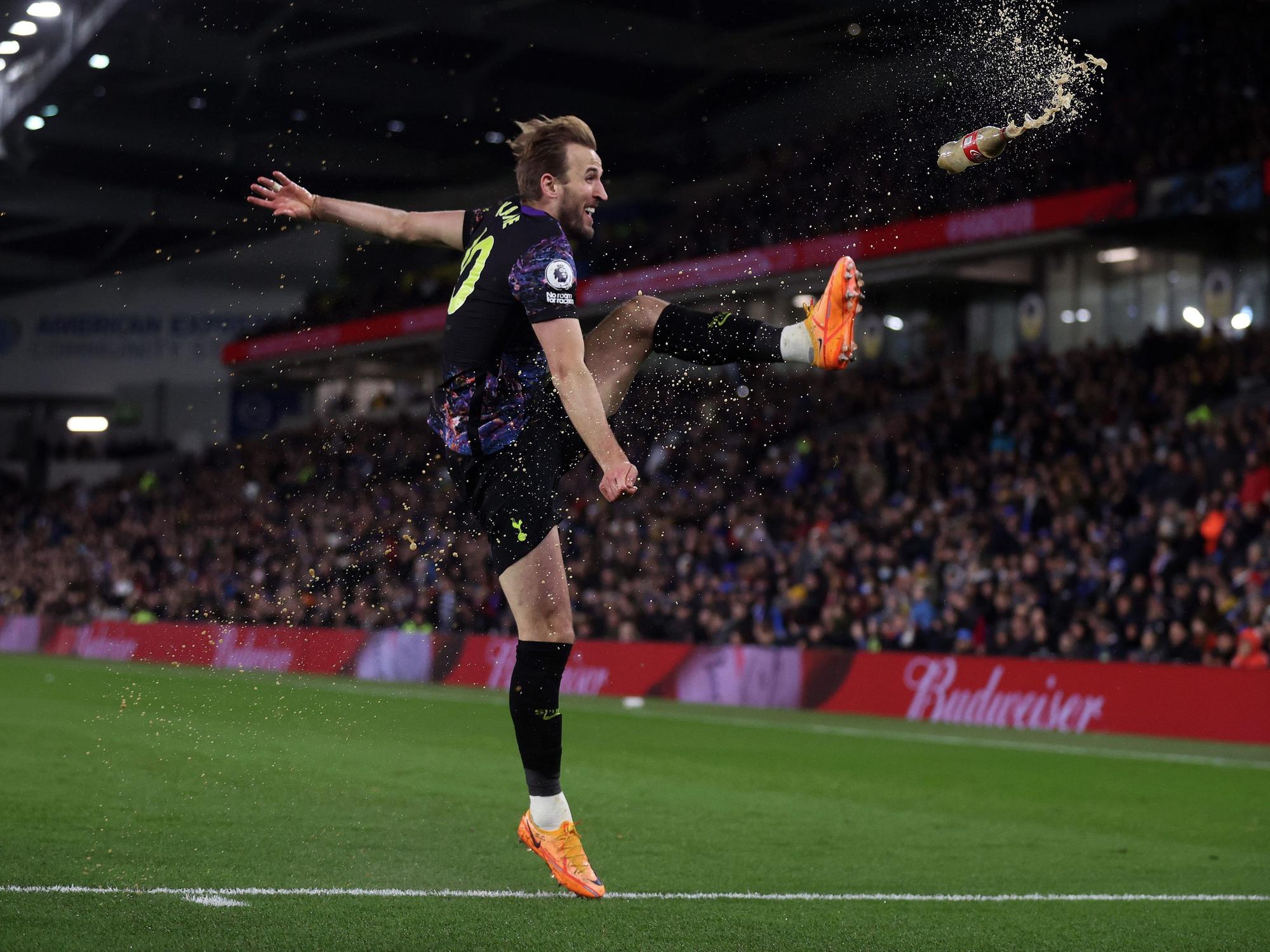 Harry Kane im Spiel bei Brighton & Hove Albion.