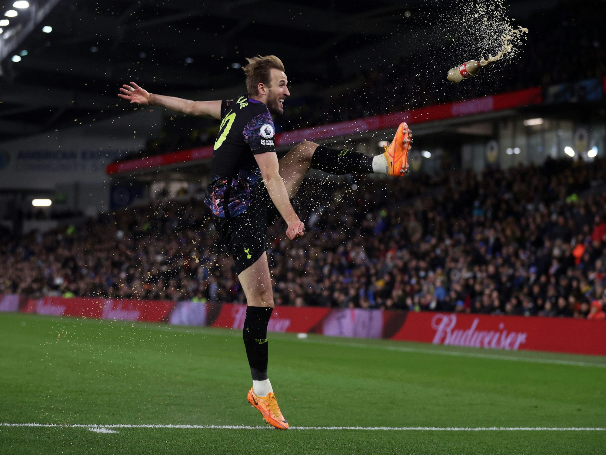 Harry Kane im Spiel bei Brighton & Hove Albion.