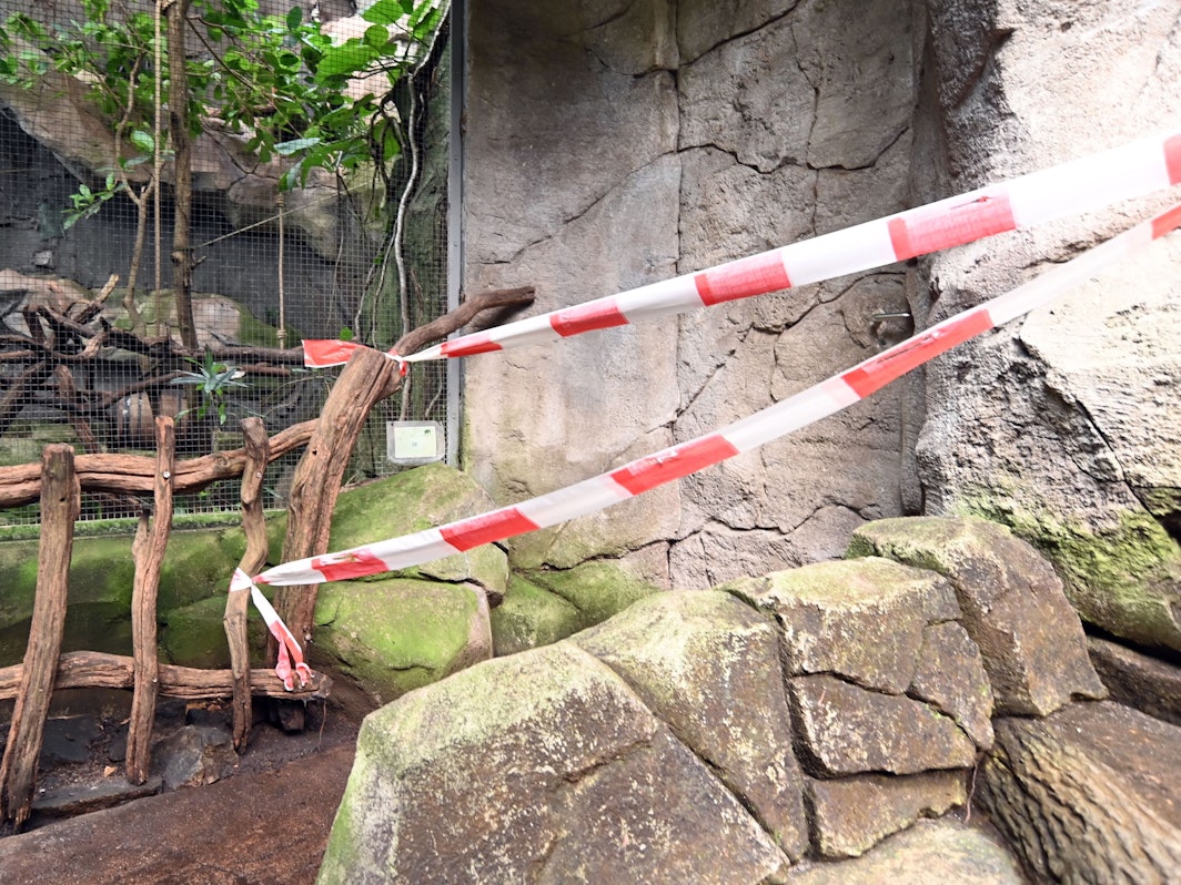 Ein Weg ist mit Flatterband abgesperrt.