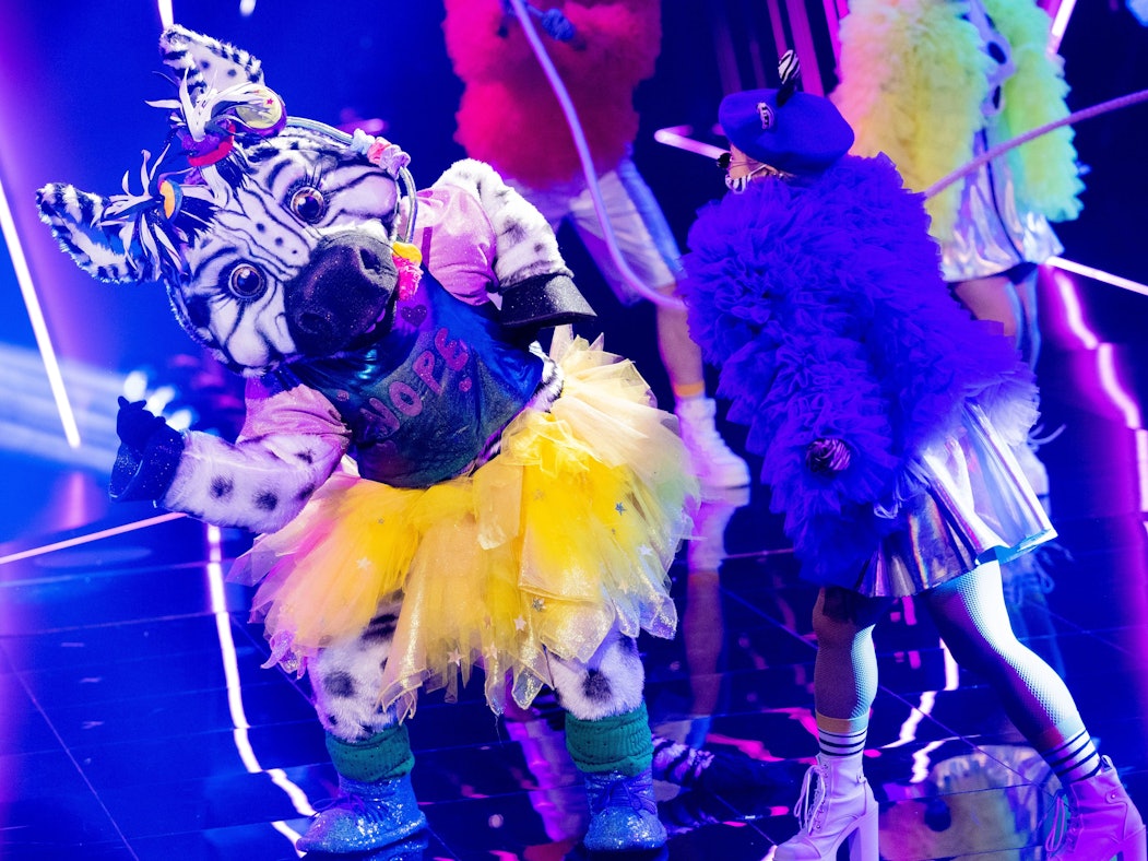 Die Figur "Das Zebra" steht in der Prosieben-Show "The Masked Singer" auf der Bühne.