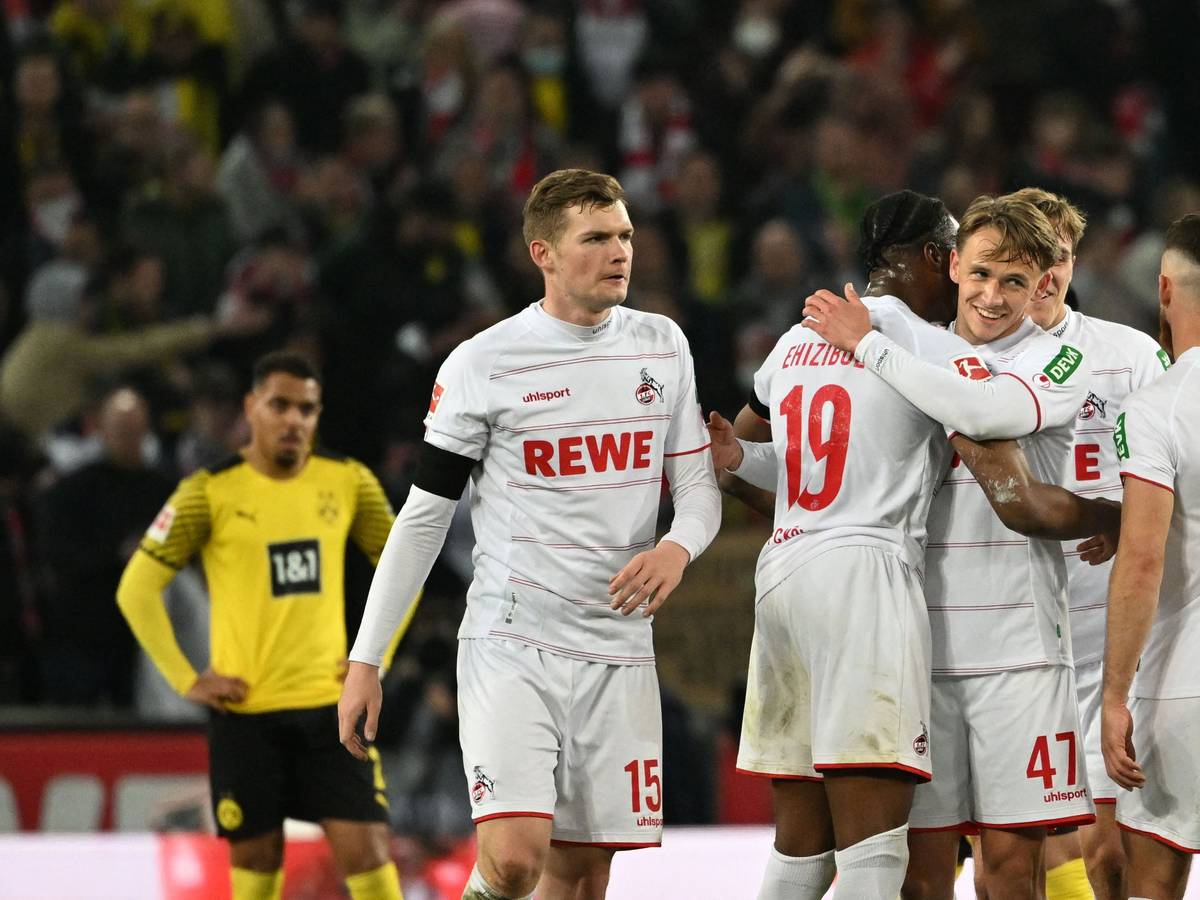 Die FC-Profis freuen sich.