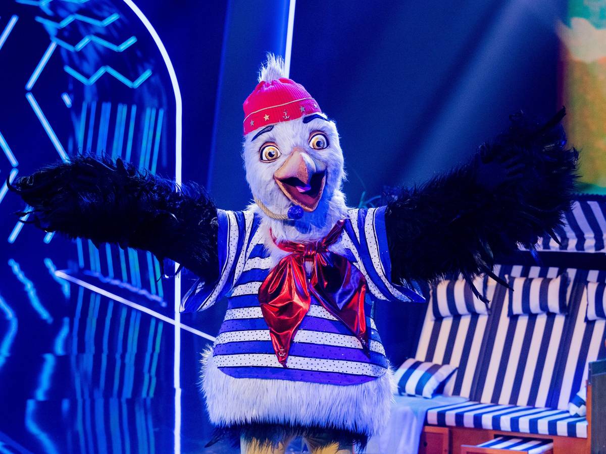 Die Figur „Die Möwe“ steht in der Prosieben-Show „The Masked Singer“ auf der Bühne.