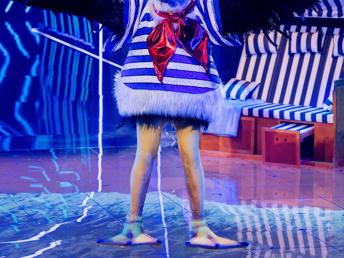 Die Figur „Die Möwe“ steht in der Prosieben-Show „The Masked Singer“ auf der Bühne.